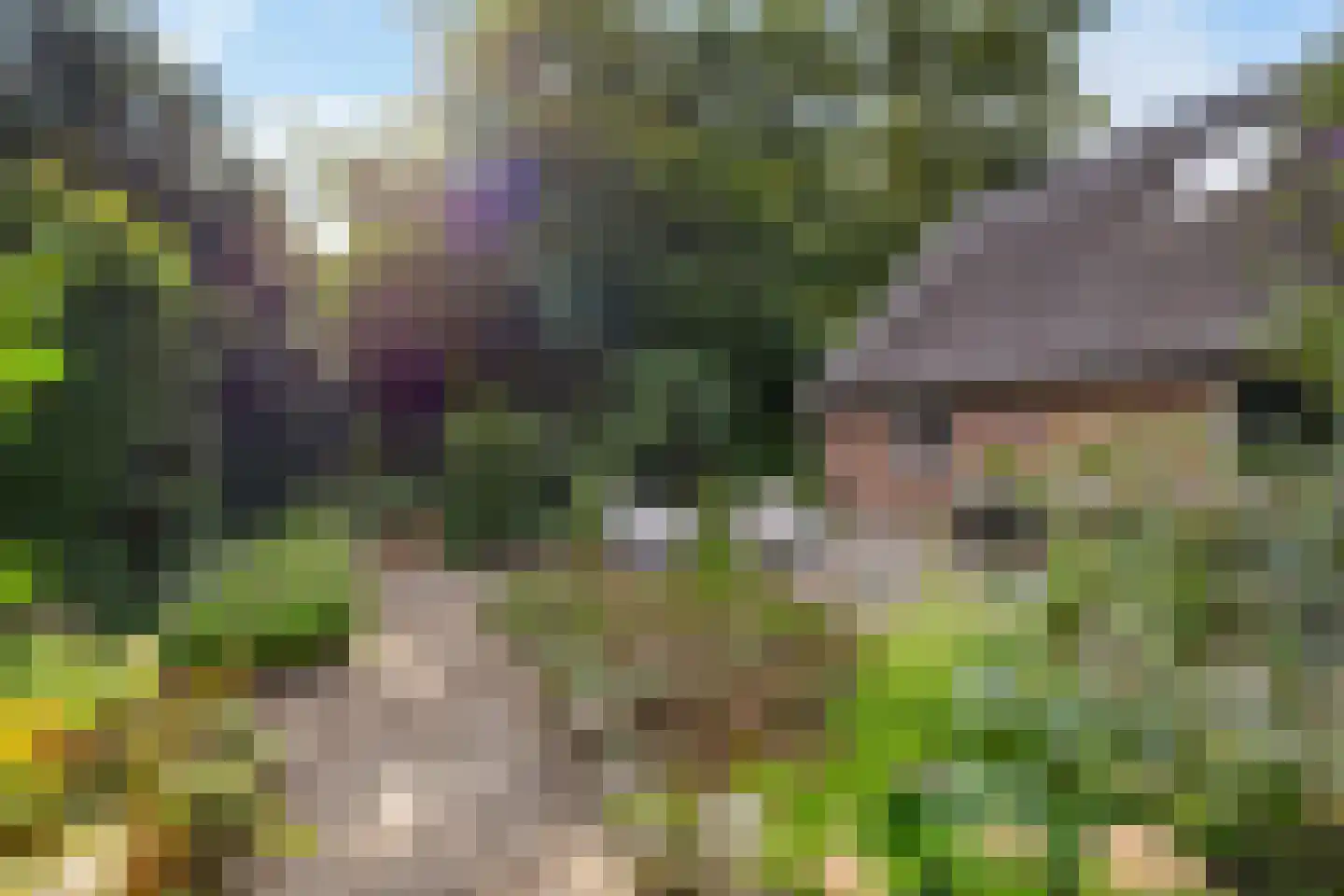 Vrieserweg 8 Peize thumbnail 67