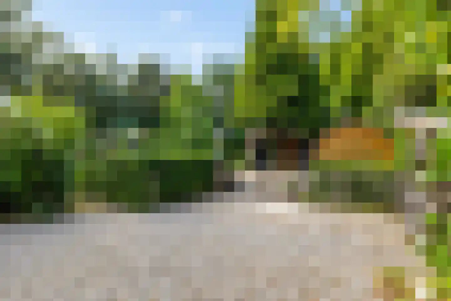 Vrieserweg 8 Peize thumbnail 69
