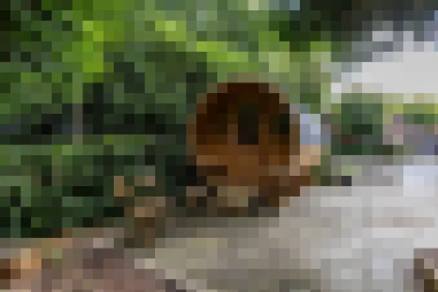 Vrieserweg 8 Peize thumbnail 70