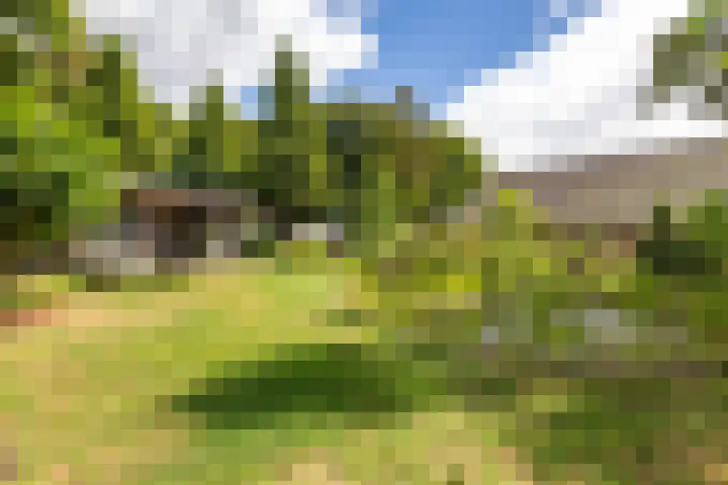 Vrieserweg 8 Peize thumbnail 71