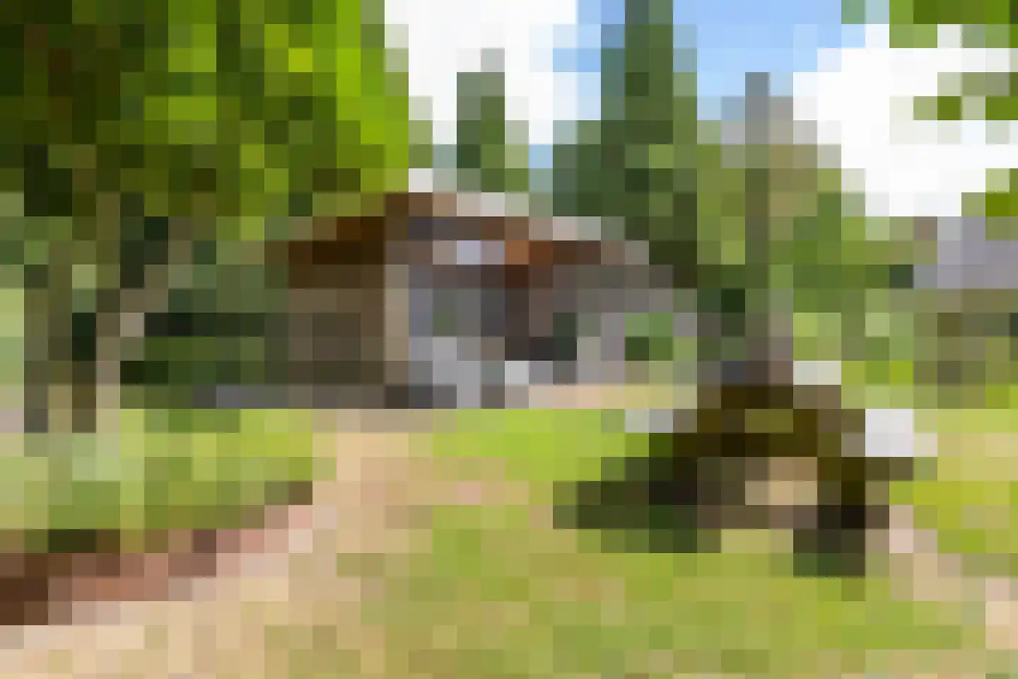 Vrieserweg 8 Peize thumbnail 72