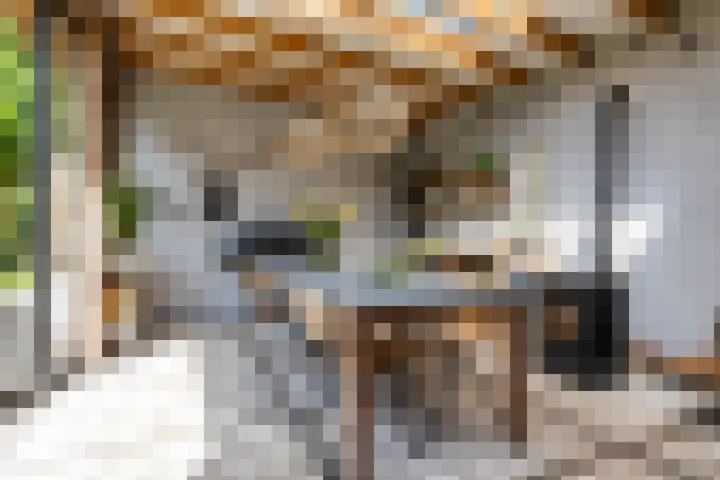 Vrieserweg 8 Peize thumbnail 75