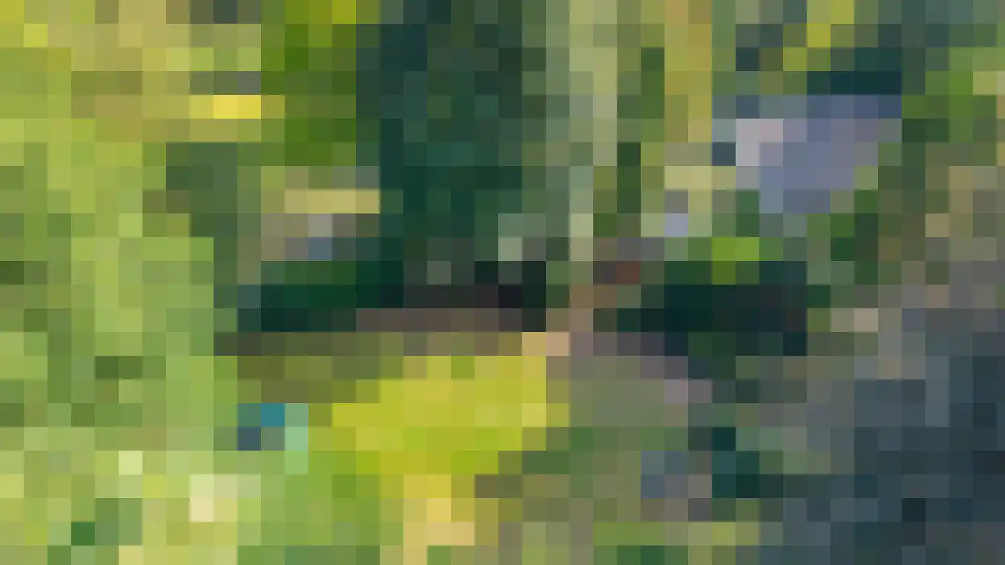 Vrieserweg 8 Peize thumbnail 77