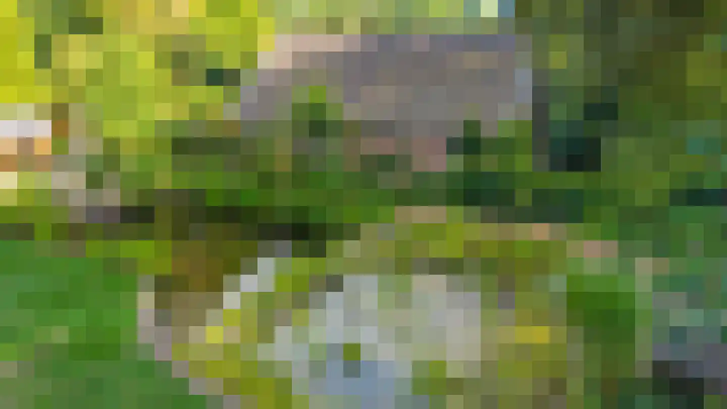 Vrieserweg 8 Peize thumbnail 79