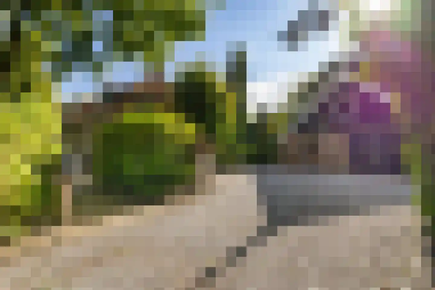 Vrieserweg 8 Peize thumbnail 8