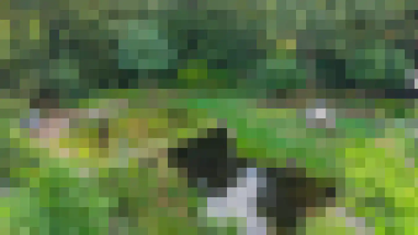 Vrieserweg 8 Peize thumbnail 80