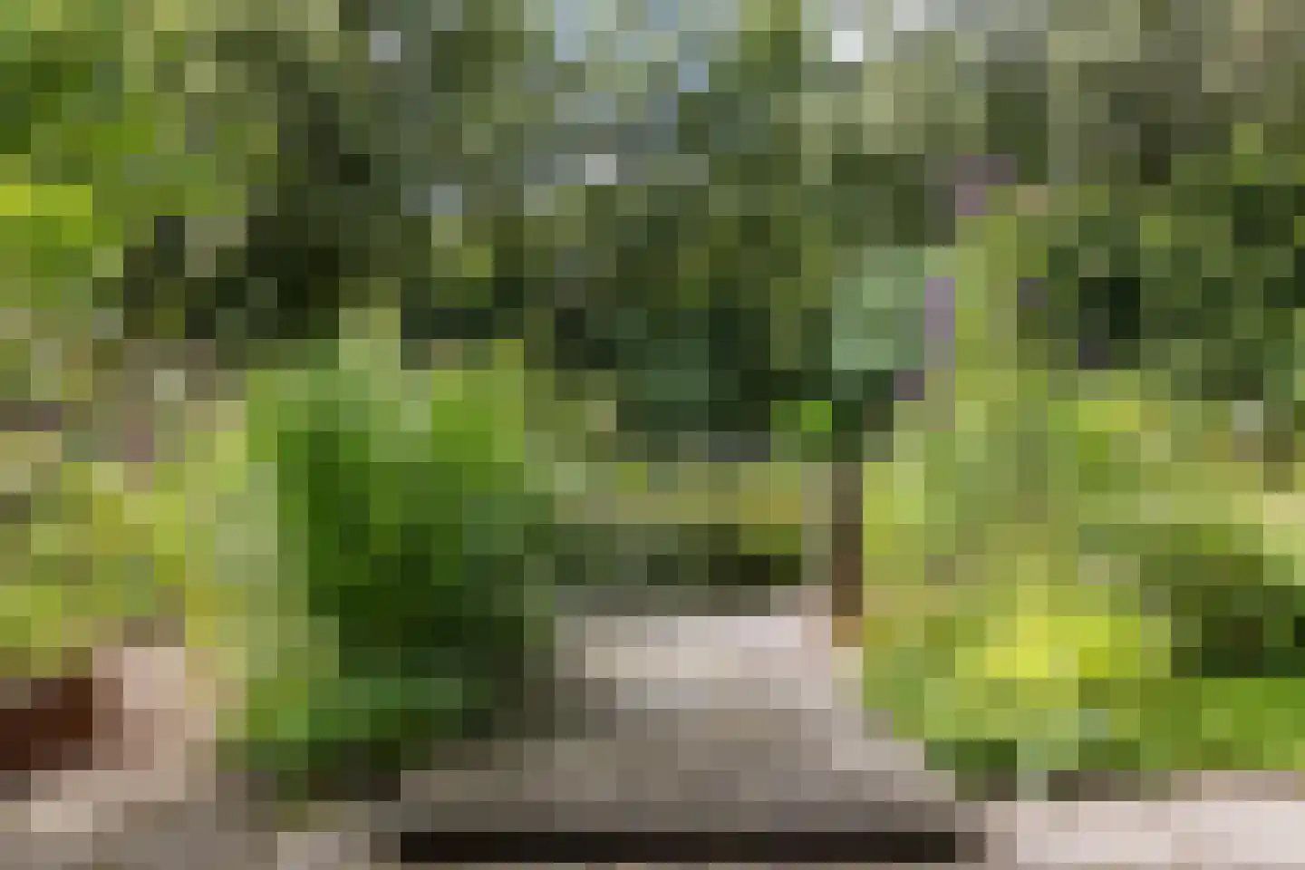 Vrieserweg 8 Peize thumbnail 81