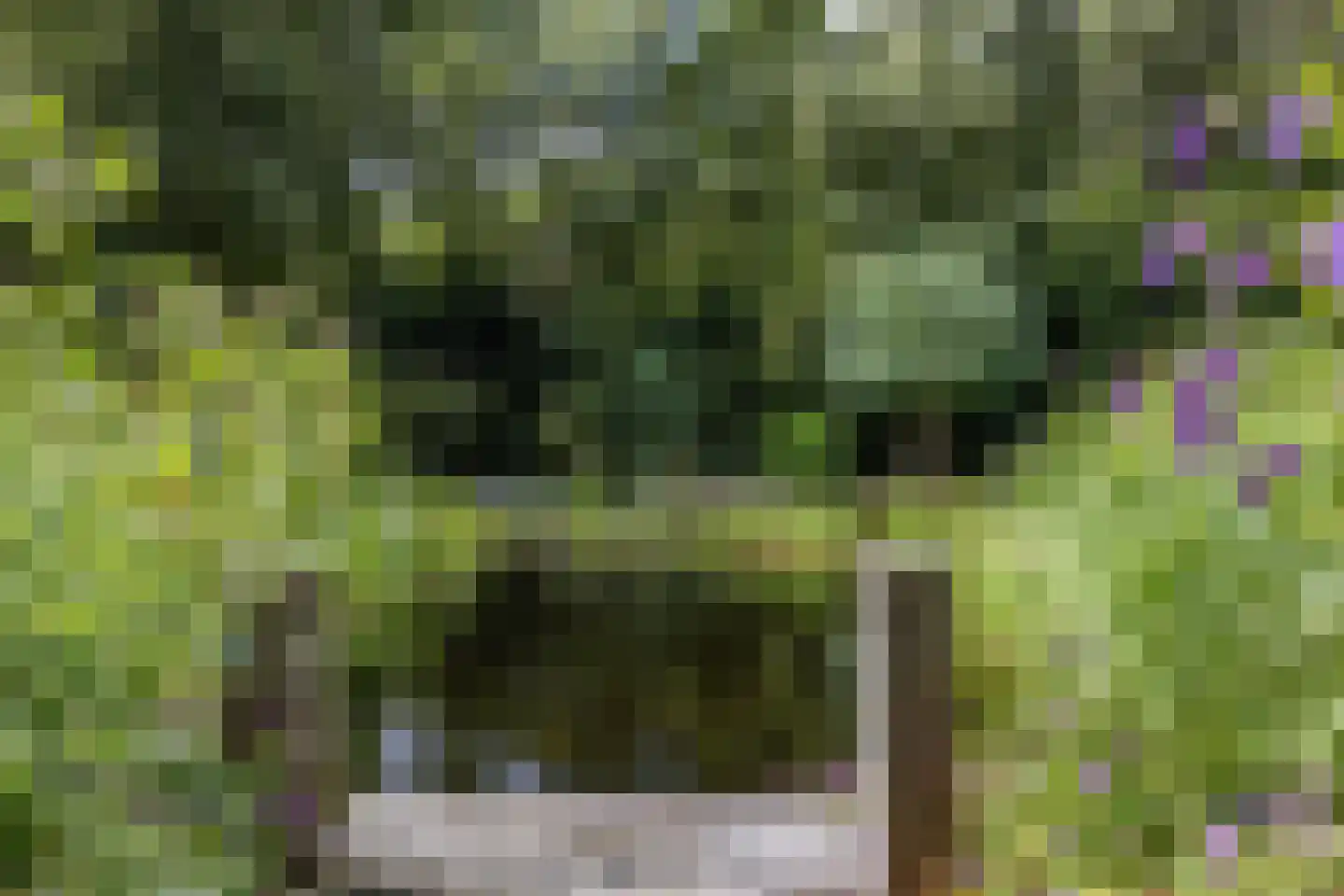 Vrieserweg 8 Peize thumbnail 82