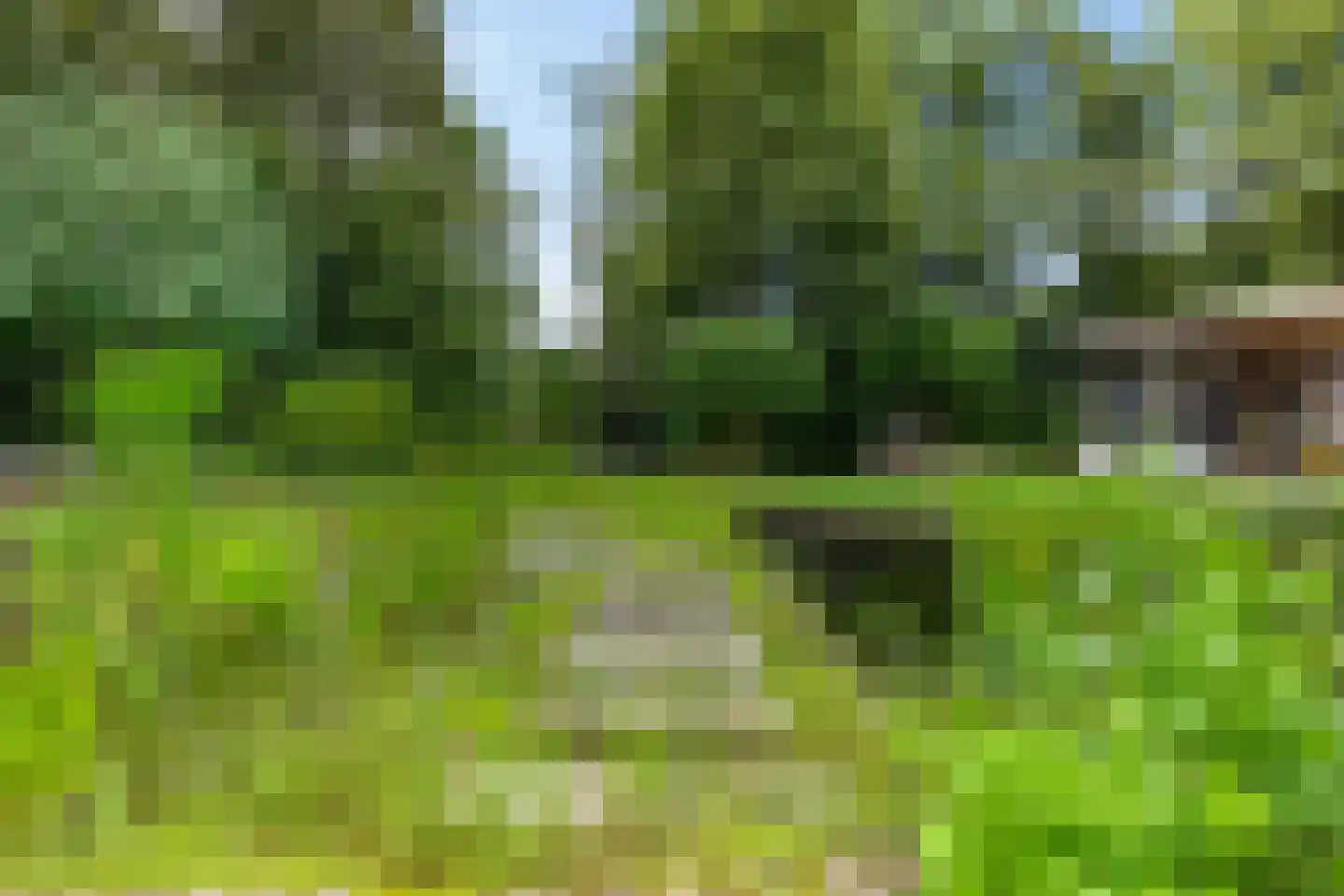 Vrieserweg 8 Peize thumbnail 83