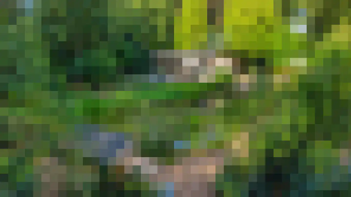 Vrieserweg 8 Peize thumbnail 84