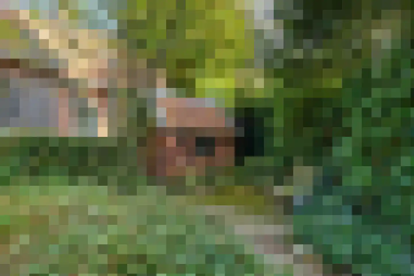 Vrieserweg 8 Peize thumbnail 85