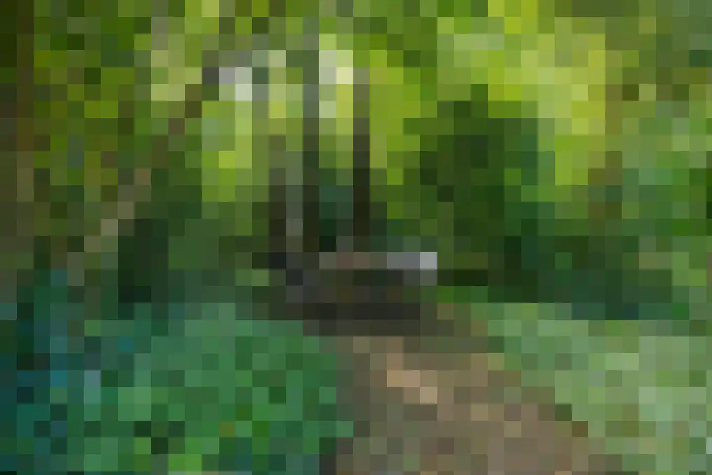 Vrieserweg 8 Peize thumbnail 86