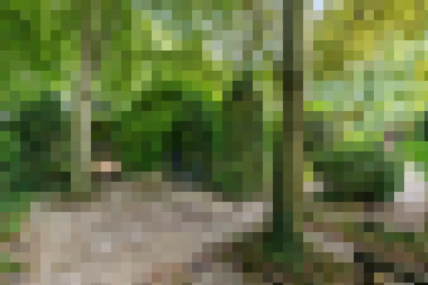 Vrieserweg 8 Peize thumbnail 87