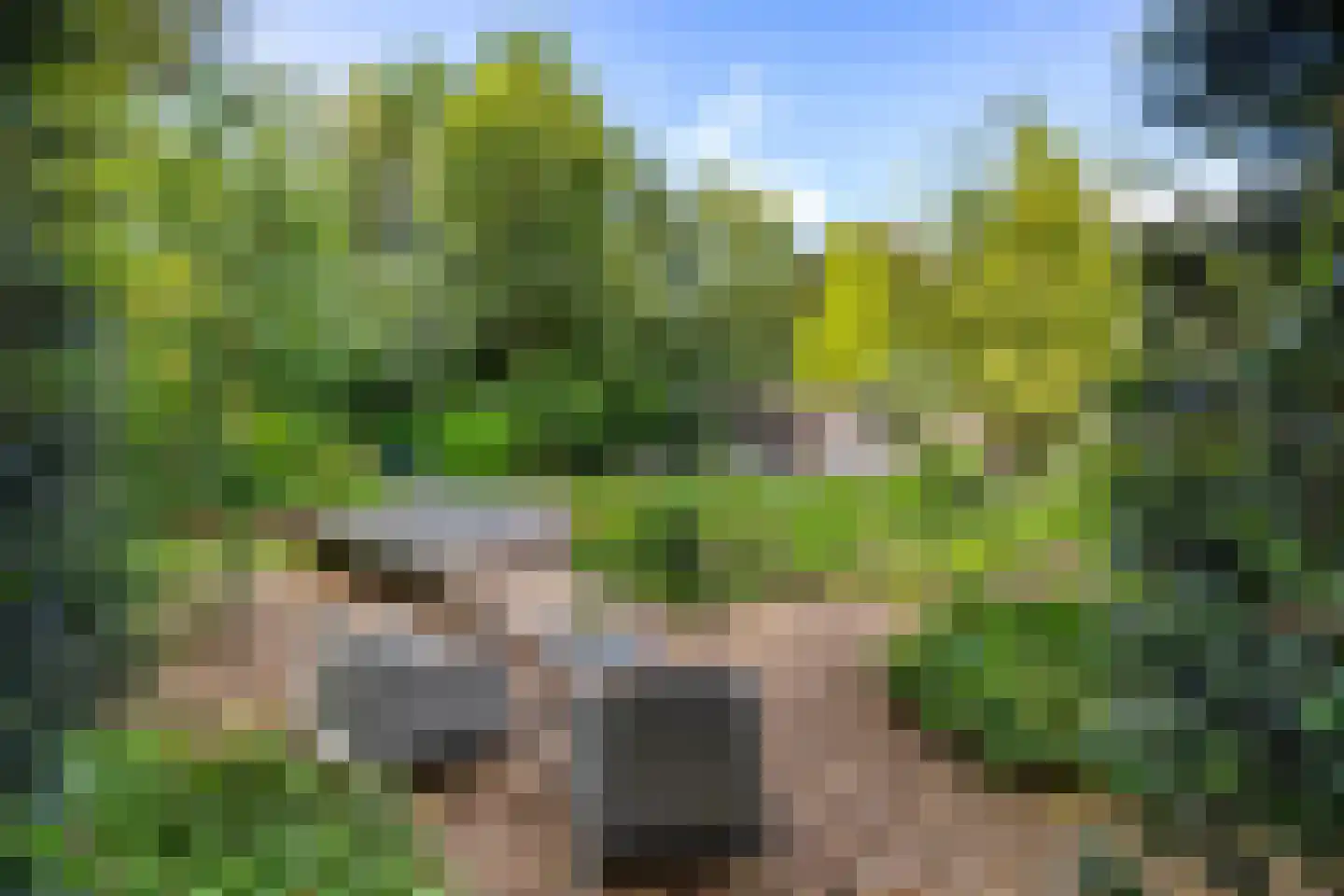 Vrieserweg 8 Peize thumbnail 88
