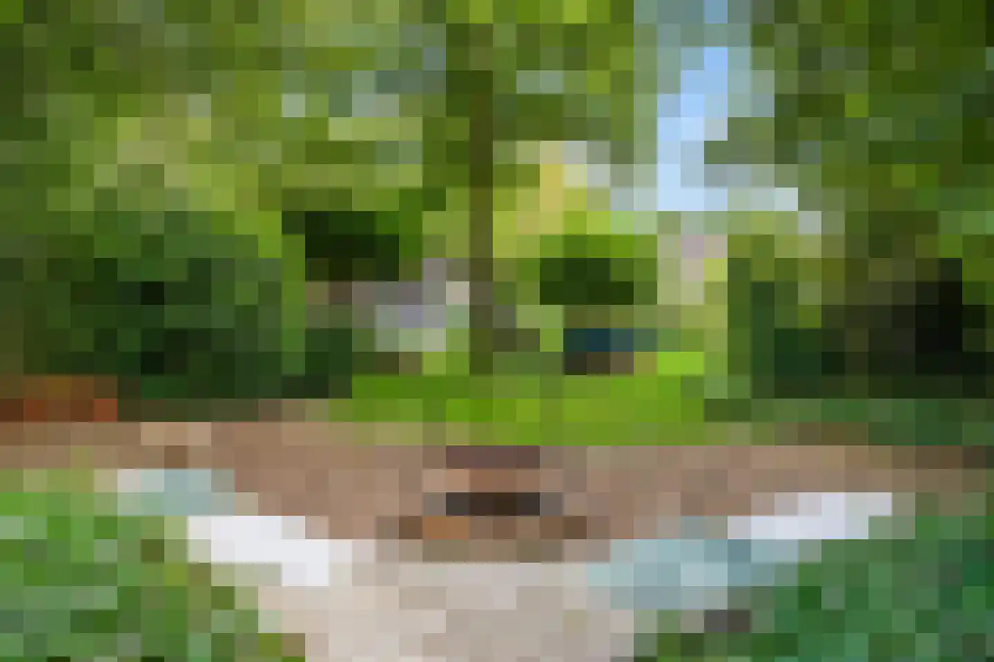 Vrieserweg 8 Peize thumbnail 89