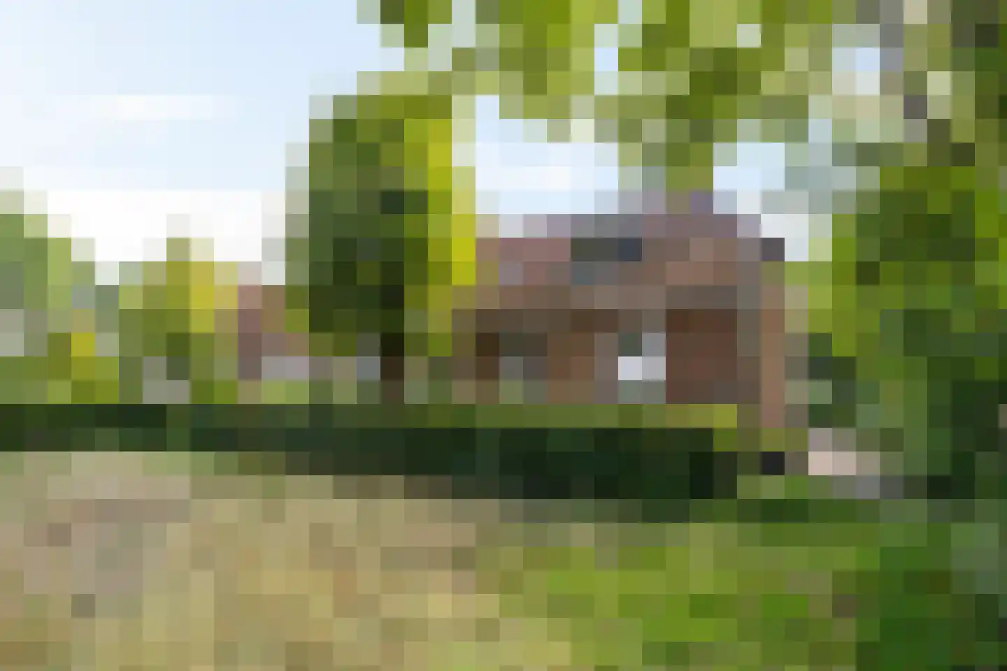 Vrieserweg 8 Peize thumbnail 9