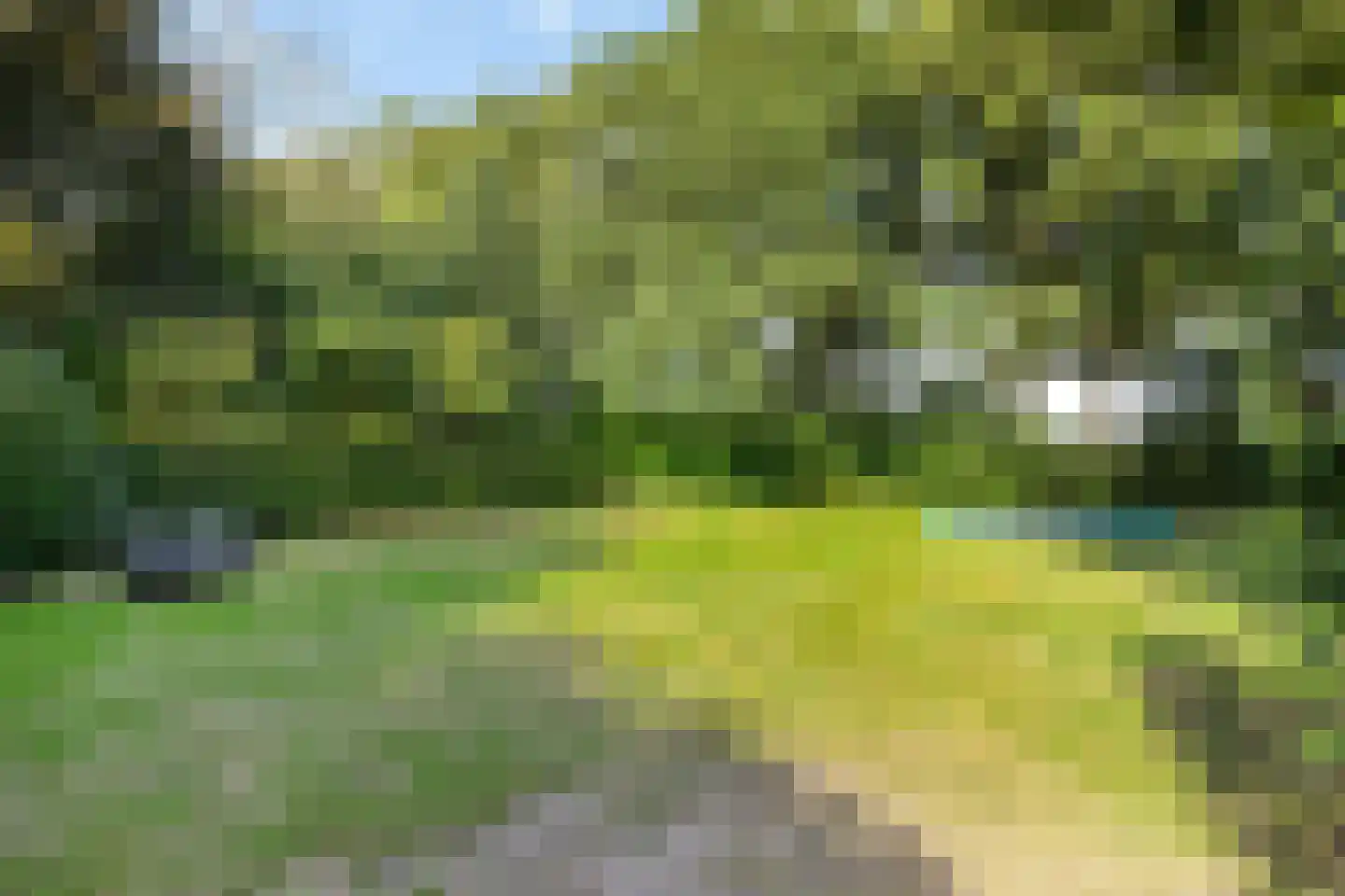Vrieserweg 8 Peize thumbnail 90