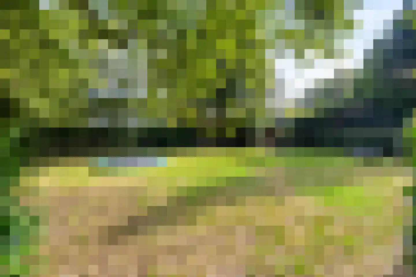 Vrieserweg 8 Peize thumbnail 91