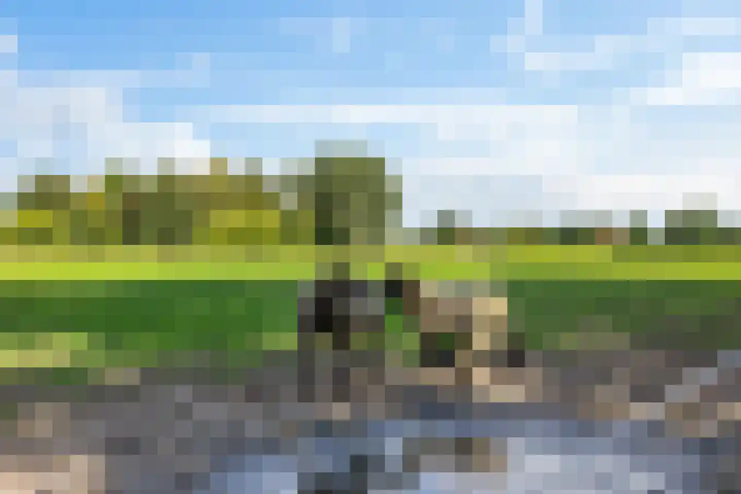 Vrieserweg 8 Peize thumbnail 95