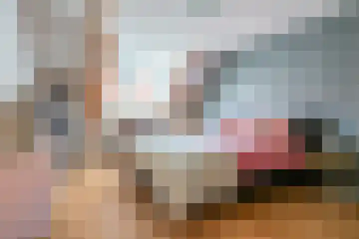 Vriesestraat 16 A Dordrecht thumbnail 30