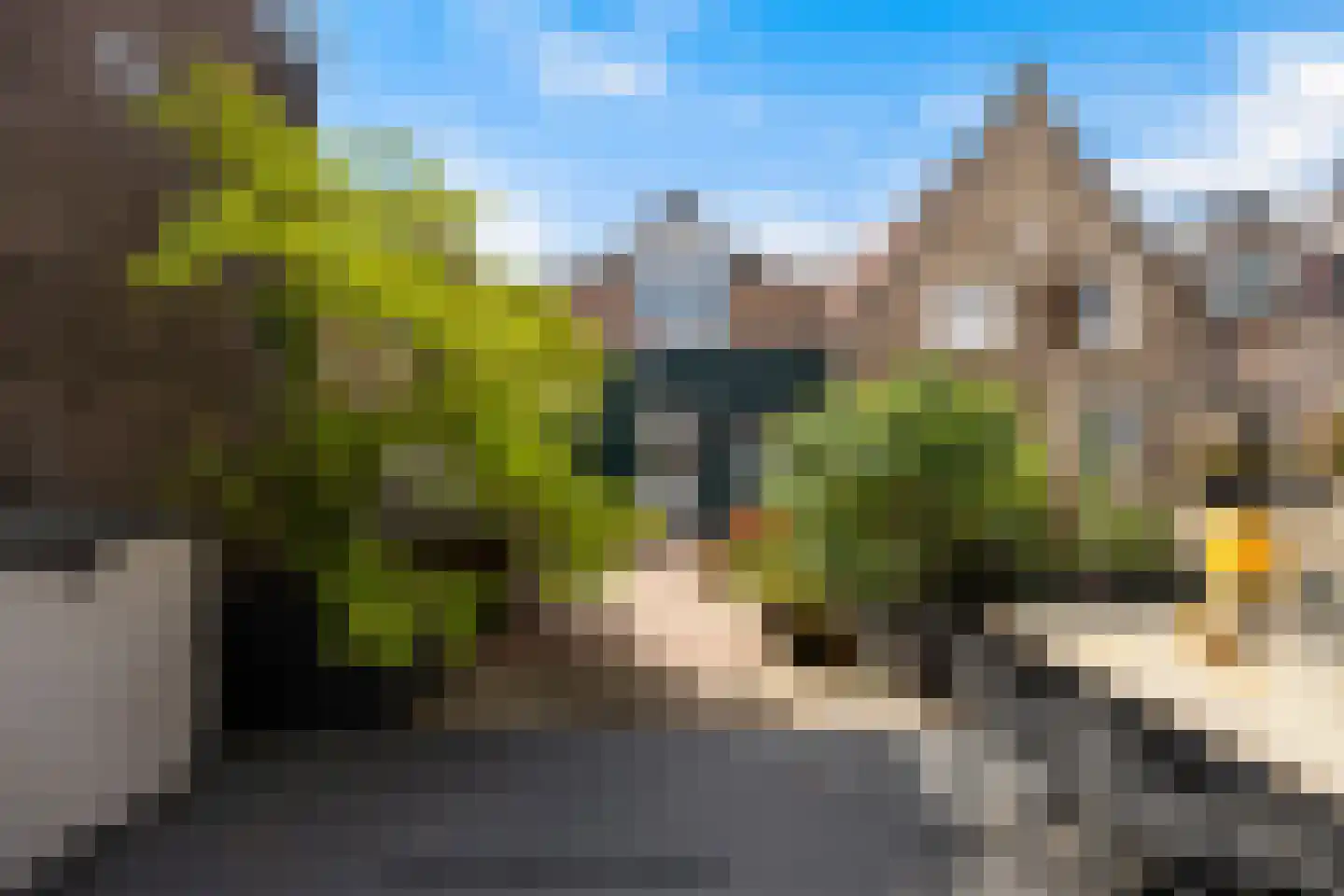 Vriesestraat 162 Dordrecht thumbnail 29