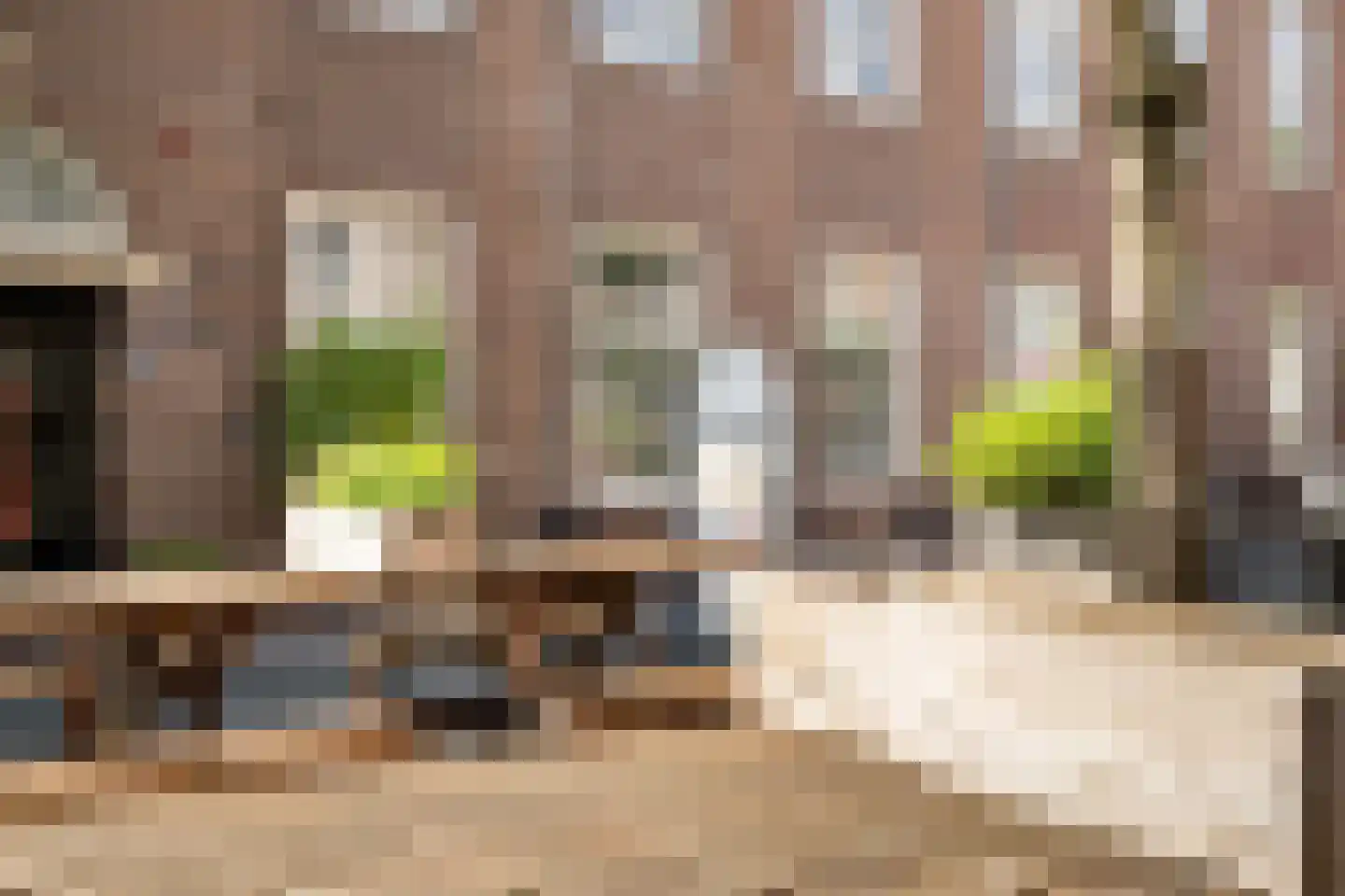 Vriesestraat 162 Dordrecht thumbnail 46
