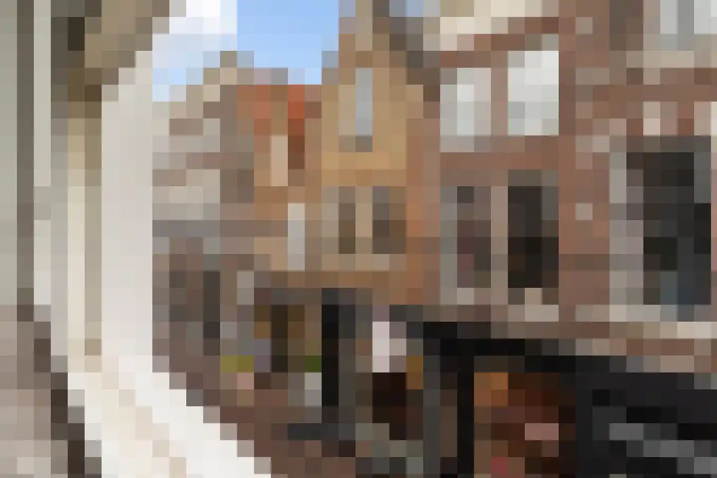 Vriesestraat 72 Dordrecht thumbnail 12