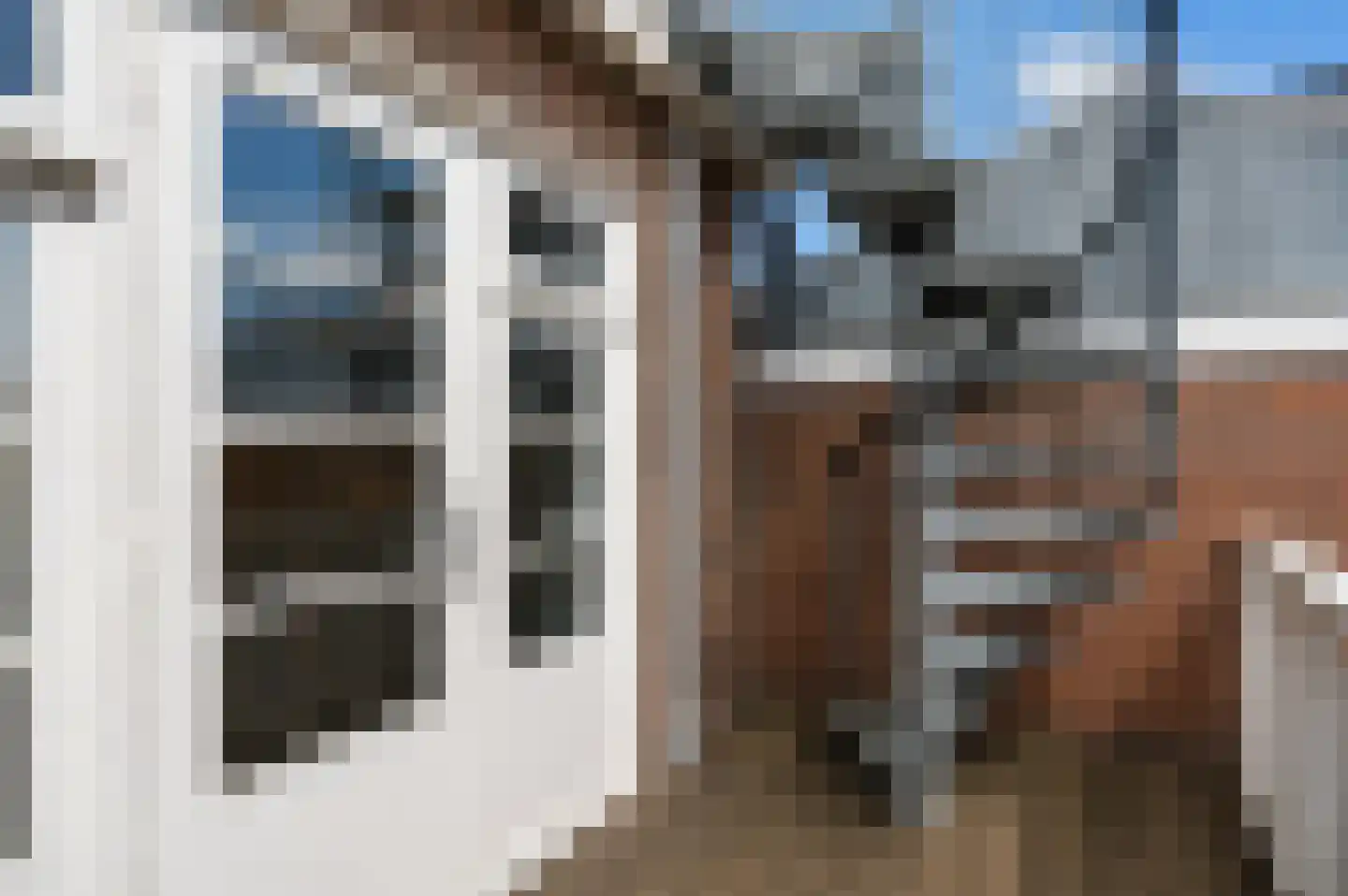 Vriesestraat 72 Dordrecht thumbnail 22