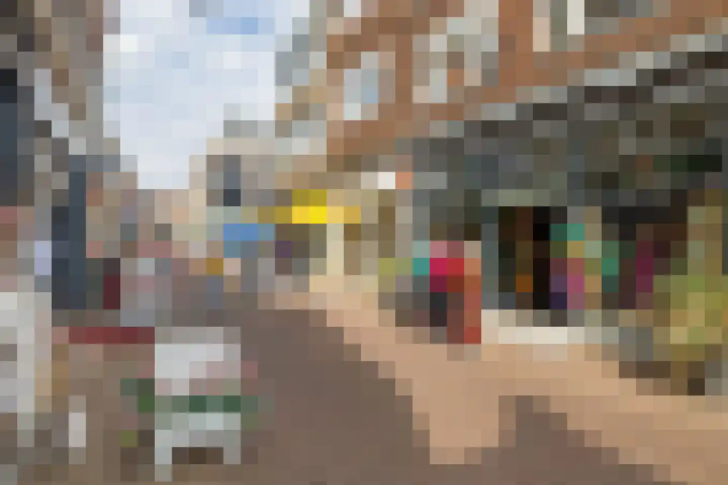 Vriesestraat 72 Dordrecht thumbnail 31