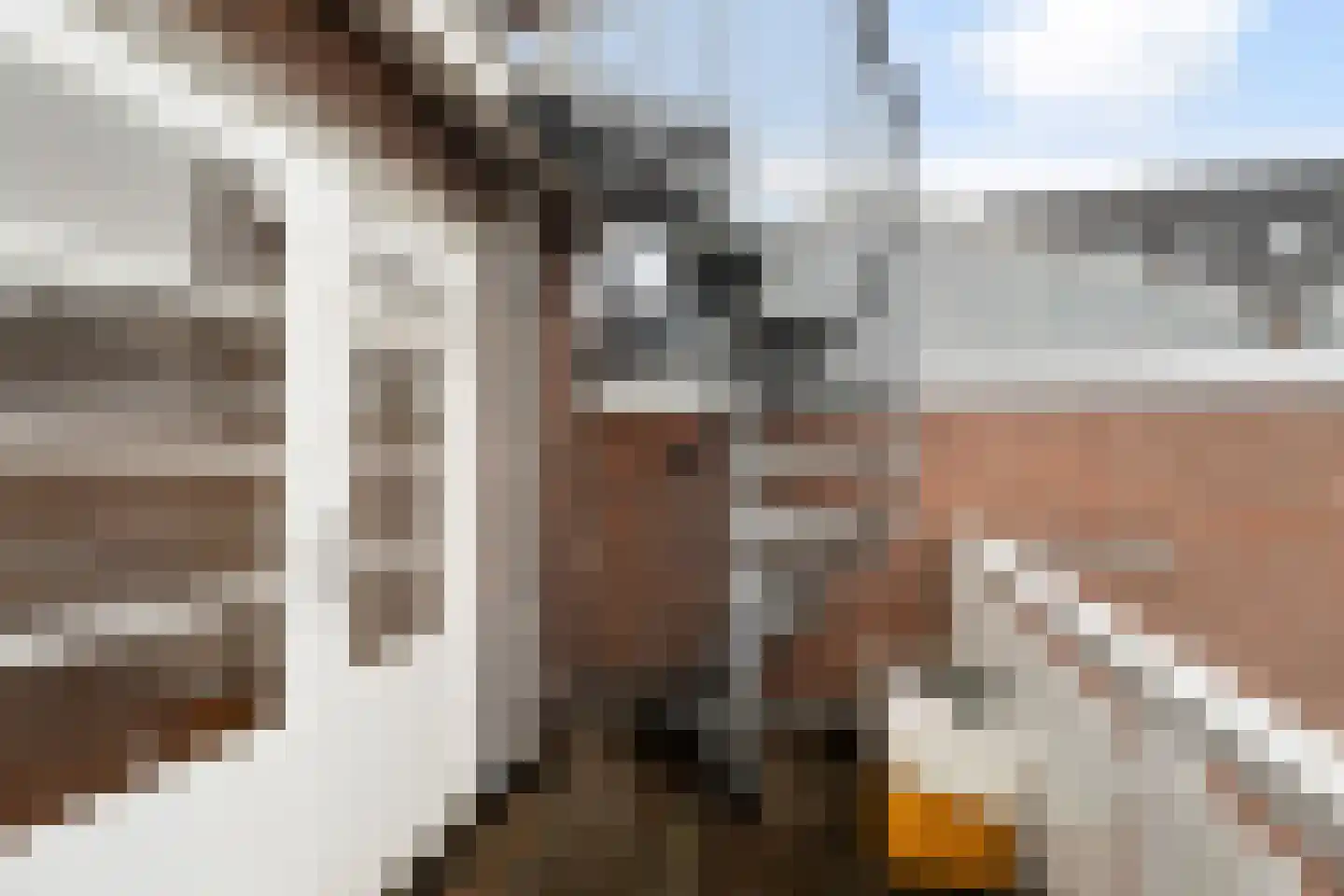 Vriesestraat 72 Dordrecht thumbnail 36