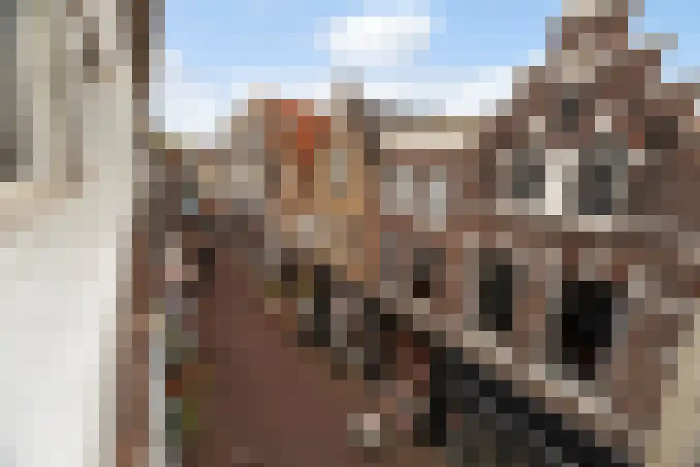 Vriesestraat 72 Dordrecht thumbnail 4