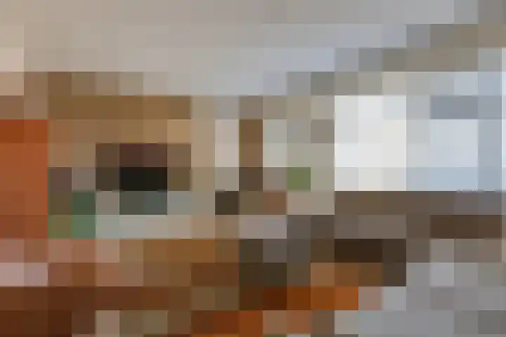 Vriesschestraat 103 Duiven thumbnail 12