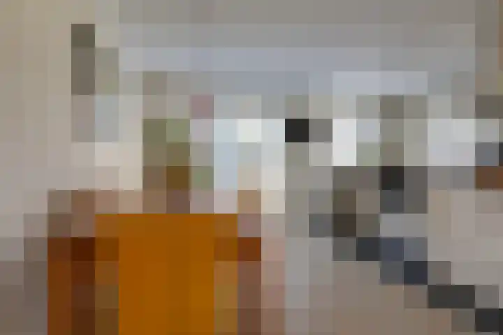 Vriesschestraat 103 Duiven thumbnail 20