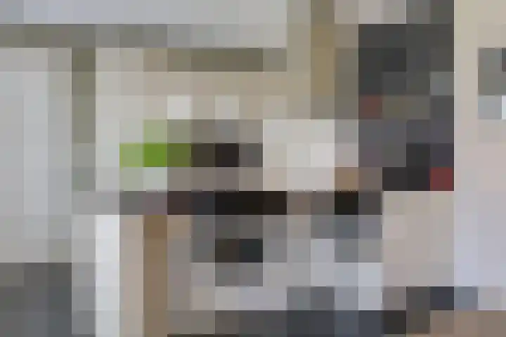 Vriesschestraat 103 Duiven thumbnail 23