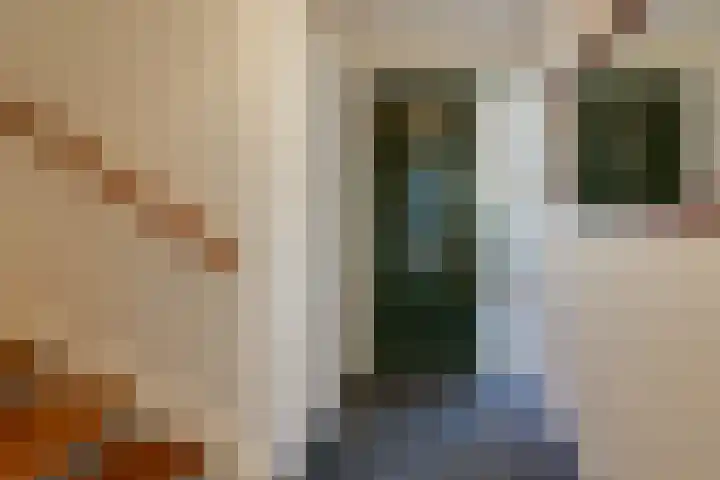 Vriesschestraat 103 Duiven thumbnail 31