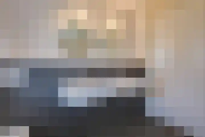 Vriesschestraat 103 Duiven thumbnail 37