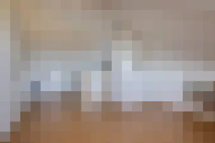 Vriesschestraat 103 Duiven thumbnail 44
