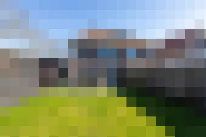 Vriesschestraat 103 Duiven thumbnail 47