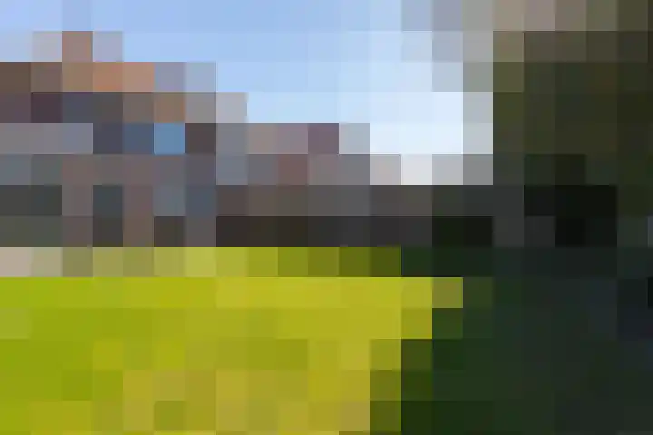 Vriesschestraat 103 Duiven thumbnail 48