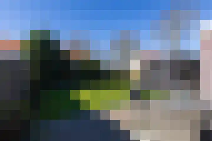 Vriesschestraat 103 Duiven thumbnail 50