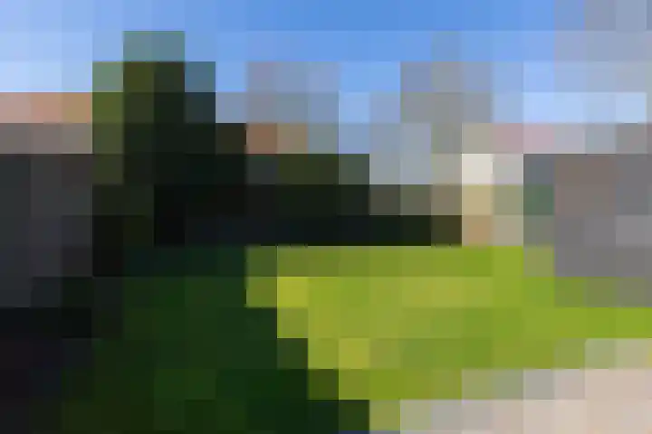 Vriesschestraat 103 Duiven thumbnail 51