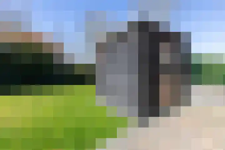 Vriesschestraat 103 Duiven thumbnail 53
