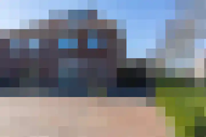 Vriesschestraat 103 Duiven thumbnail 6