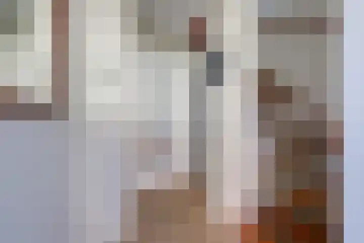 Vriesschestraat 103 Duiven thumbnail 9