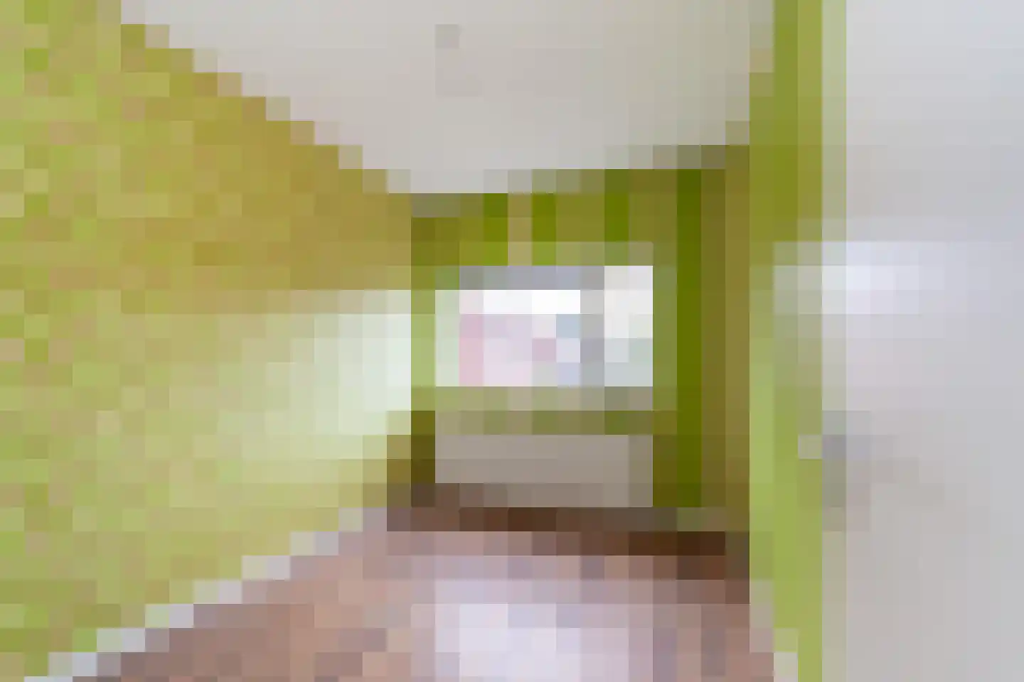 Vriesschestraat 22 Duiven thumbnail 11