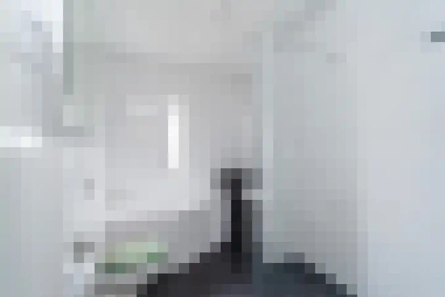 Vriesschestraat 22 Duiven thumbnail 12