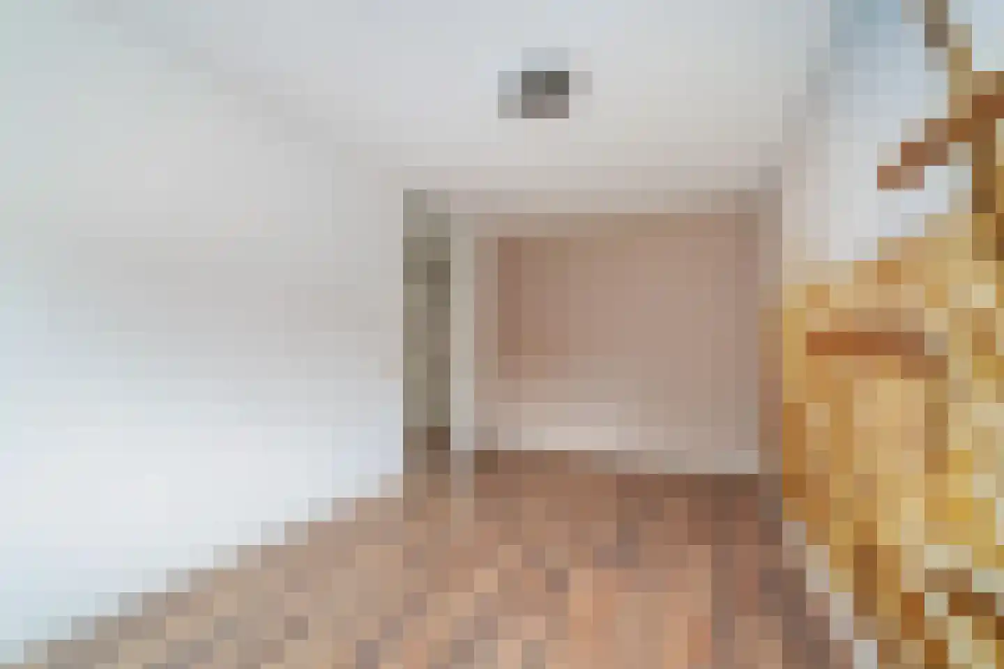Vriesschestraat 22 Duiven thumbnail 14