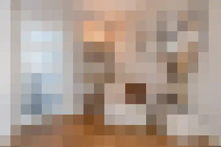 Vriesschestraat 22 Duiven thumbnail 15