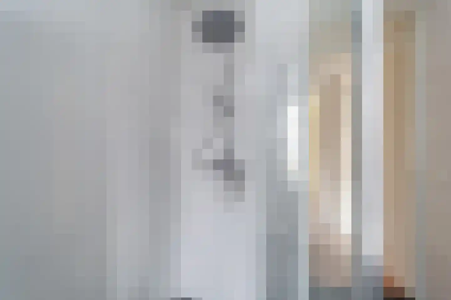 Vriesschestraat 22 Duiven thumbnail 15
