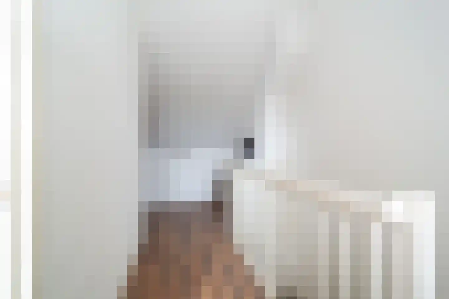 Vriesschestraat 22 Duiven thumbnail 17